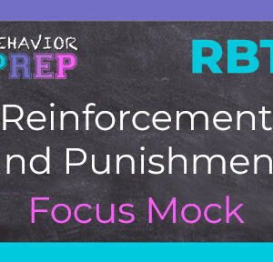 rbt reinforcement and punishment focus mock